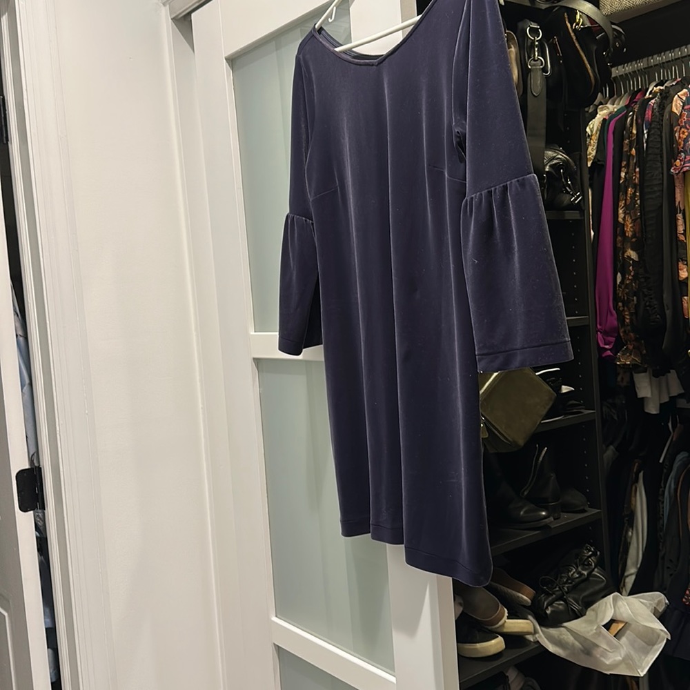 ANN TAYLOR Velvet NEVER WORN dress, fun sleeves, a plum/grey color